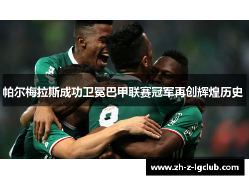 帕尔梅拉斯成功卫冕巴甲联赛冠军再创辉煌历史 帕尔梅拉斯成功卫冕巴甲联赛冠军再创辉煌历史
